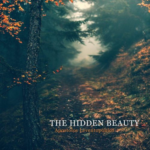 the hidden beauty big